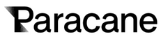 paracane　片麻痺専用杖